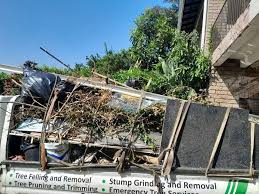 Shed Removal in Valley Springs, CA